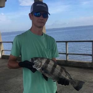 Meet your Posher, Walker